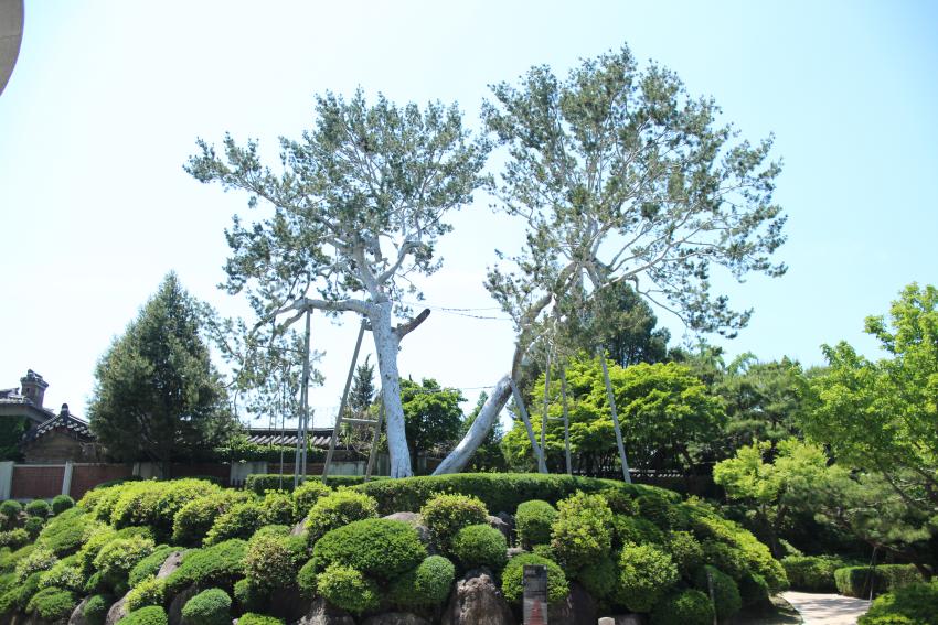 성균관대학교 현장학습 (2026.5.22) [이미지]